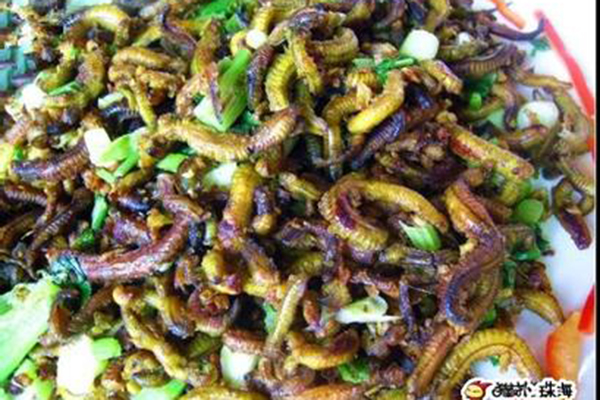 广州的奇葩美食炖禾虫的做法 