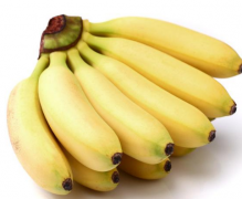 什么人不能吃香蕉-香蕉不能和东