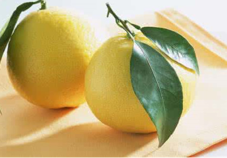 减肥柠檬水的正确泡法