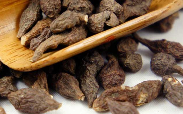 蕨麻怎么吃(蕨麻的营养价值)