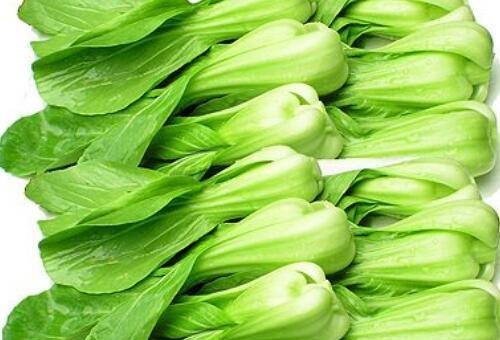 小油菜的功效与作用 小油菜的禁忌