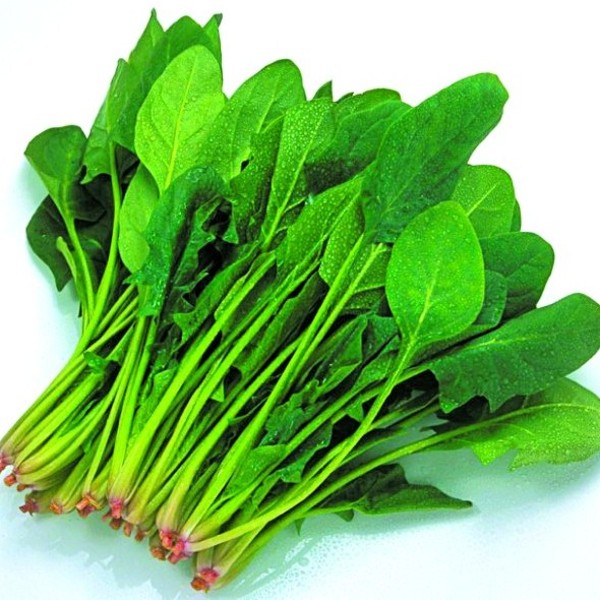 菠菜不能和什么一起吃