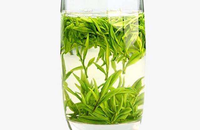 秋天喝什么茶