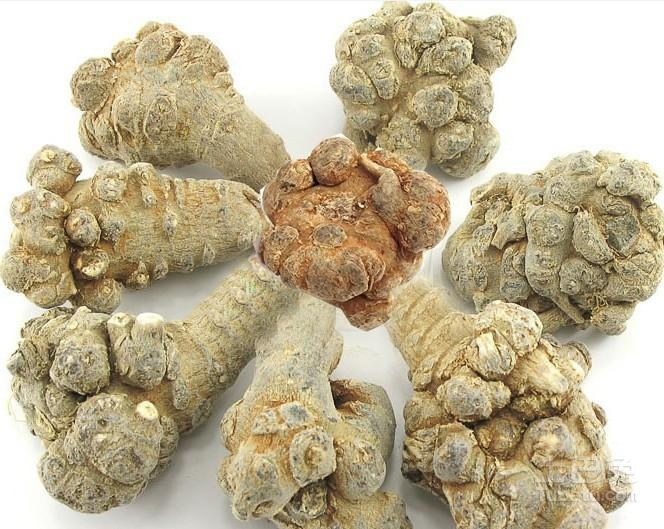 三七粉的功效与作用及食用方法
