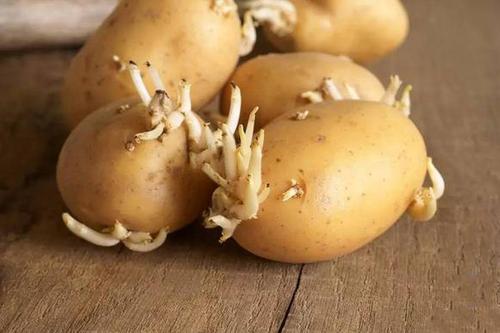 土豆裹面粉怎么做