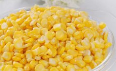 玉米减肥法5天减十斤