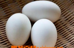 鹅蛋每天吃几个