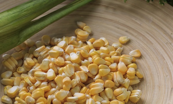 哺乳期能吃玉米吗