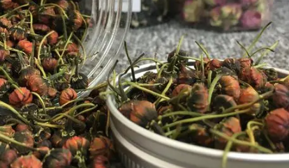 天山胎菊的功效与作用禁忌(图1)