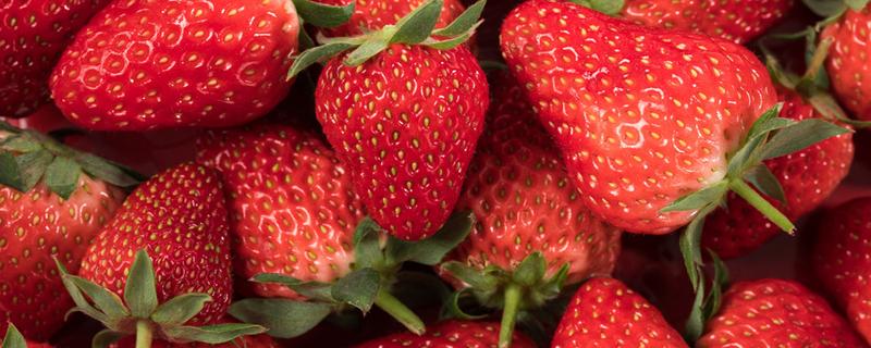 草莓热性还是寒性水果 草莓寒性