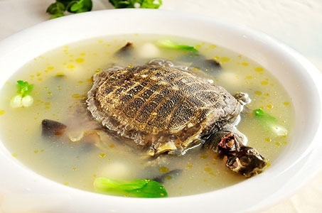清炖甲鱼汤的做法  让身体温暖整个冬天