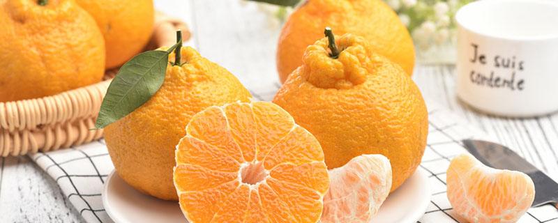 丑橘和粑粑柑有啥区别？丑橘和粑