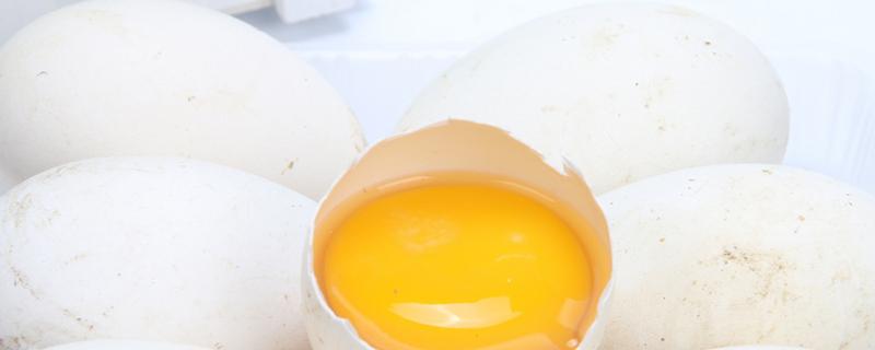 鹅蛋有排毒作用吗（鹅蛋去胎毒是