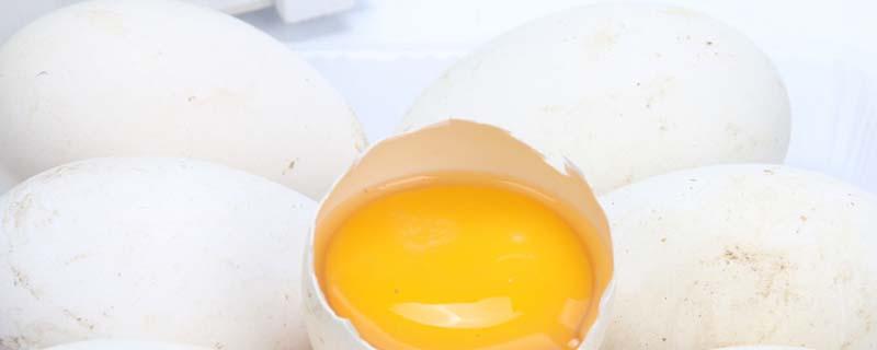 鹅蛋怎么吃治痛风（尿酸高吃鹅蛋